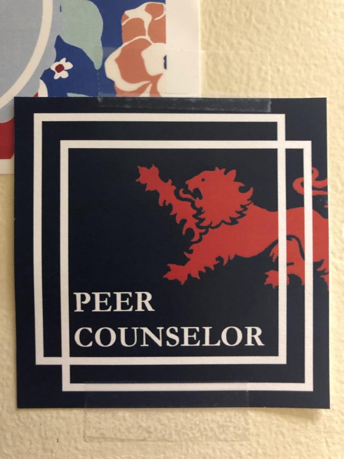 Peer Counselor Training 2019