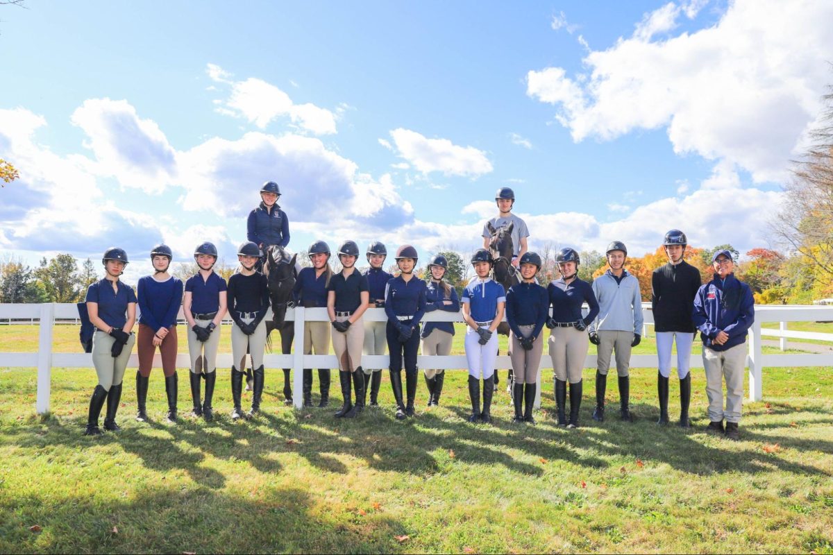 Team Profile: Equestrian